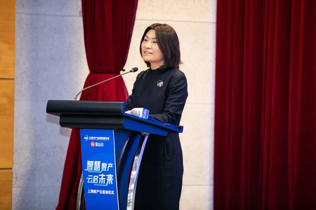 上海数产云启动 金山云与上海数产携手推进浦东新区