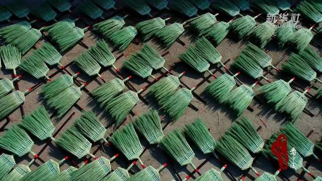 千城百县看中国｜乐亭：“小笤帚”扎成“大产业”_澎湃号·政务_澎湃新闻-The Paper
