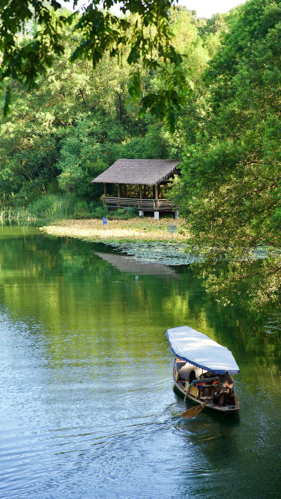 美丽中国·山水工程⑨ | 重塑"洞庭云梦"_澎湃号·政务_澎湃新闻-the 