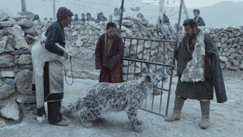 万玛才旦导演作品《雪豹》即将上映，此前斩获第17届亚洲电影大赛最佳编剧、最佳摄影大奖
