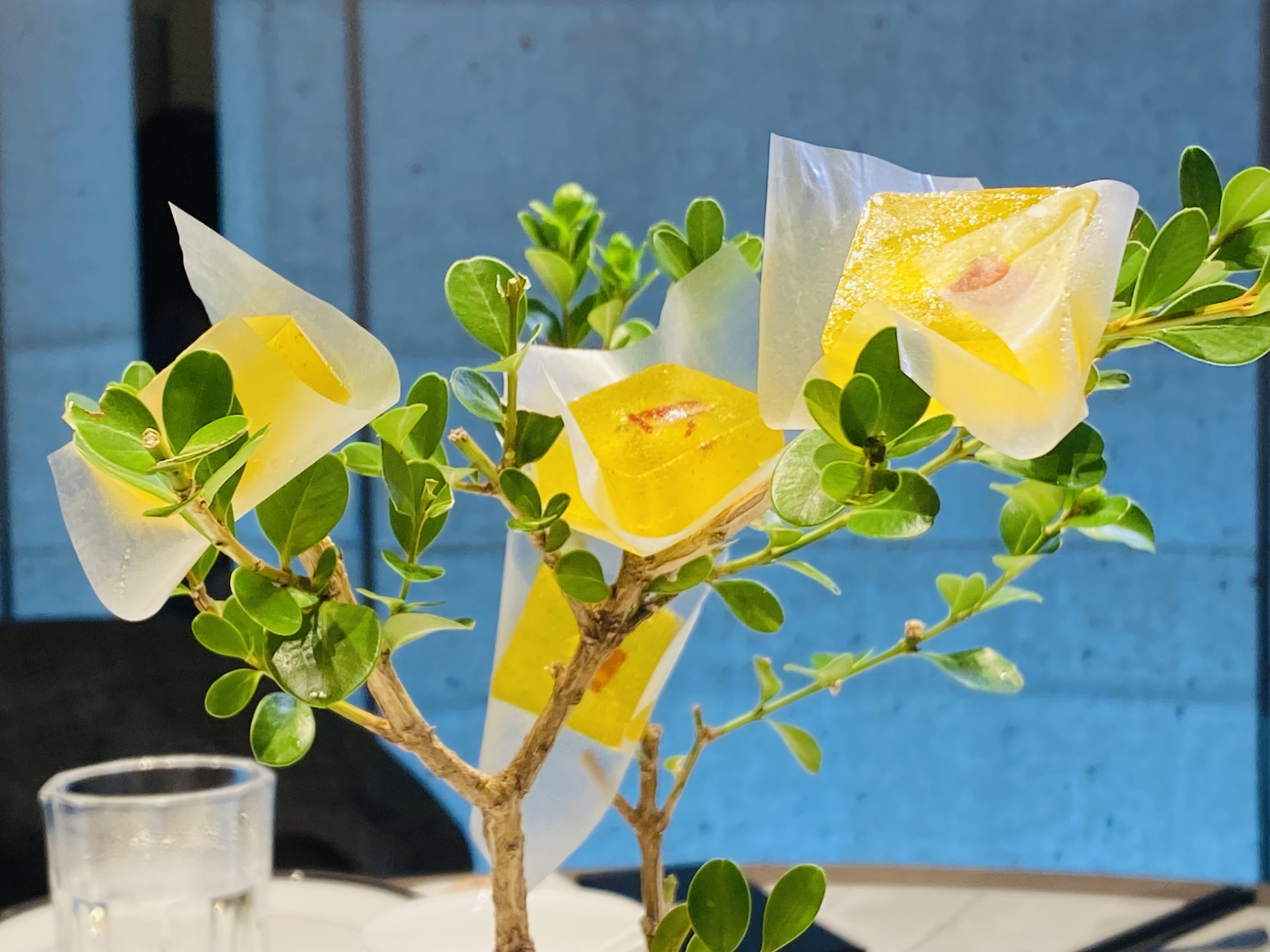 徽菜迭代,贵在创新_澎湃号·湃客_澎湃新闻-the paper
