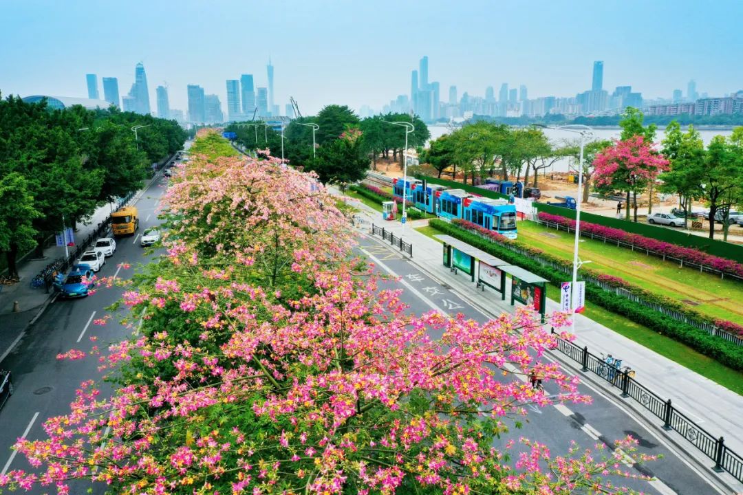 东山湖公园的碧道串联起公园的美景.