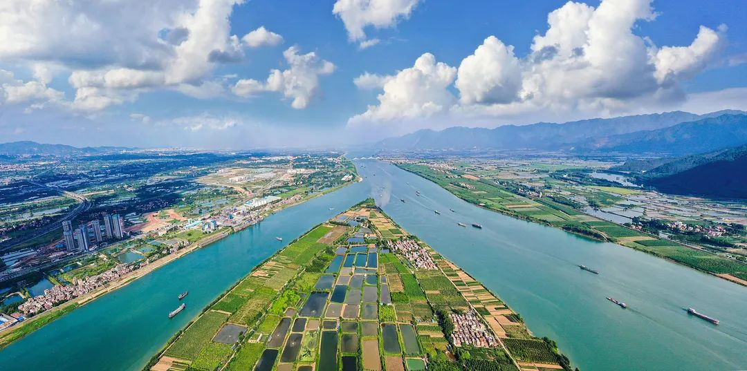 鼎湖"百千万工程"进行时|集文化,农业,旅游于一体!