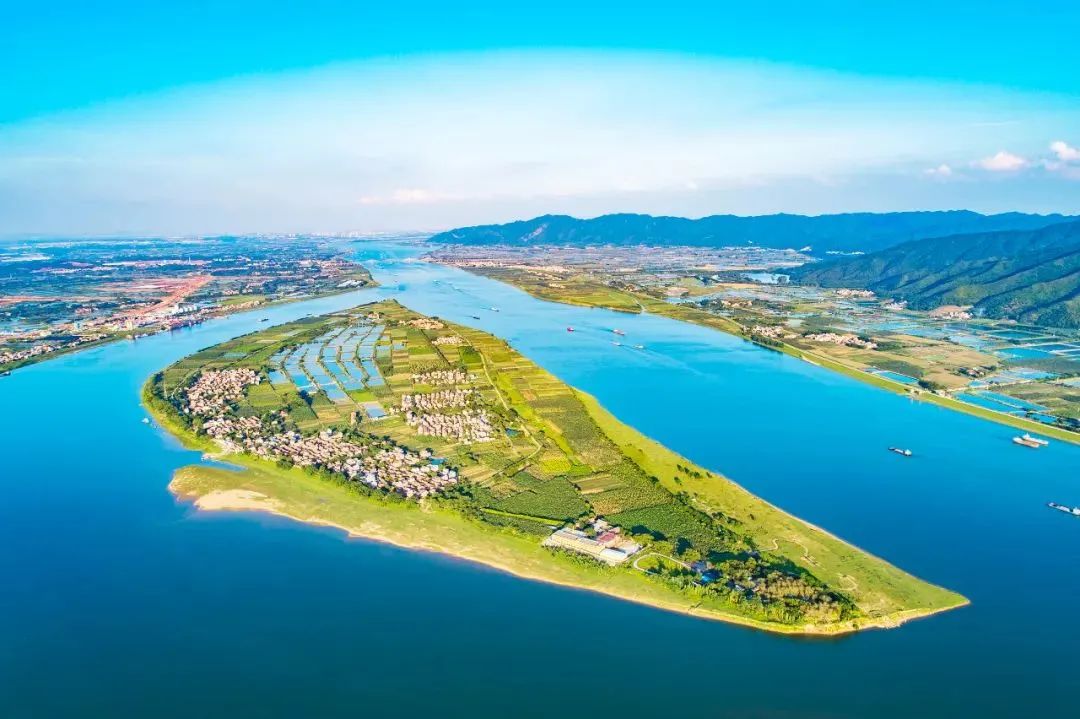 鼎湖"百千万工程"进行时|集文化,农业,旅游于一体!