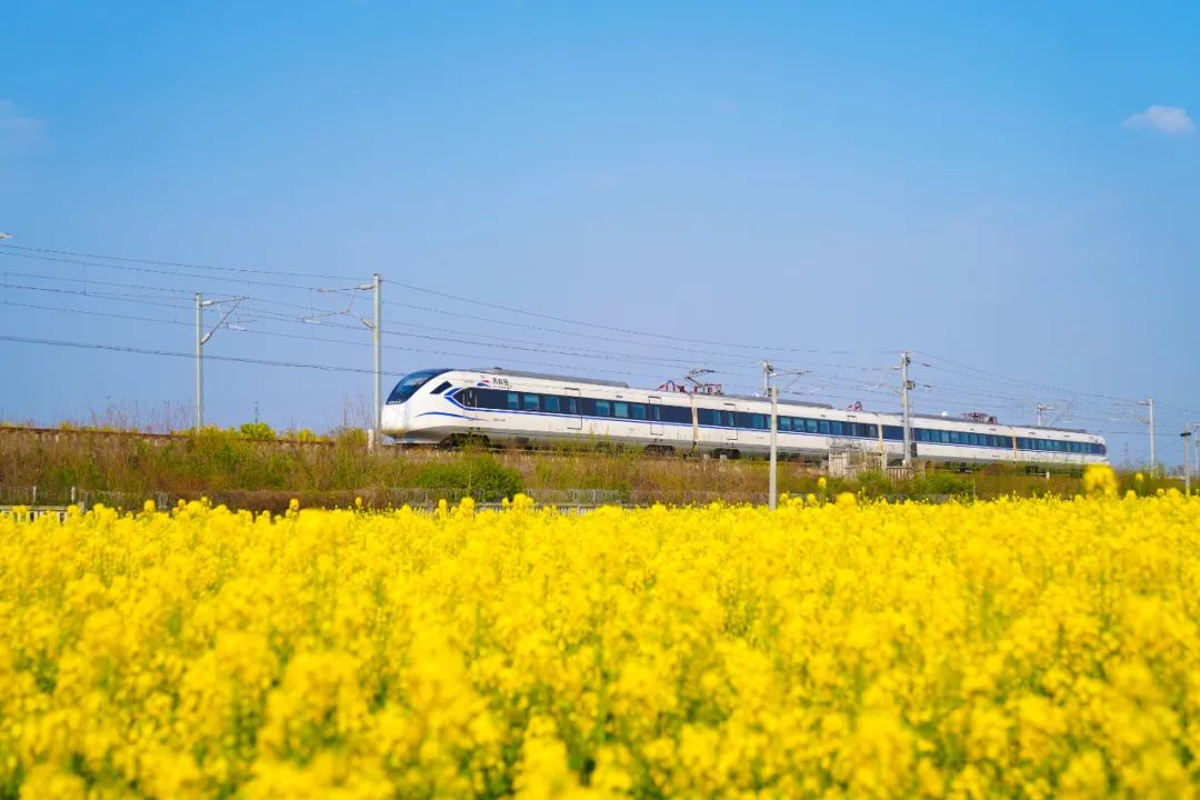 出发拍花,机位大公开,附加开车信息