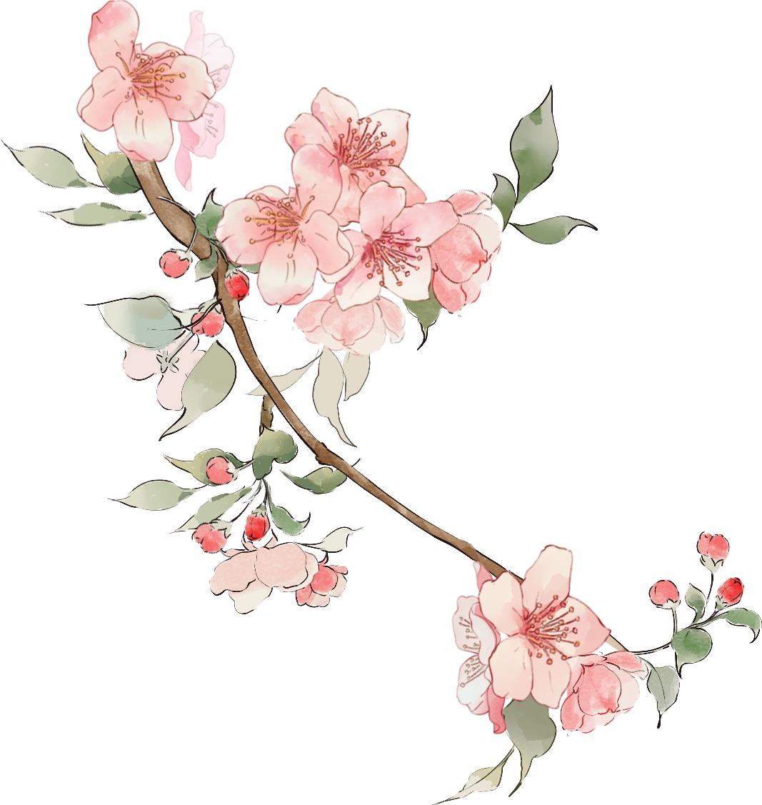 【宝法读书】春_澎湃号·政务_澎湃新闻-the paper