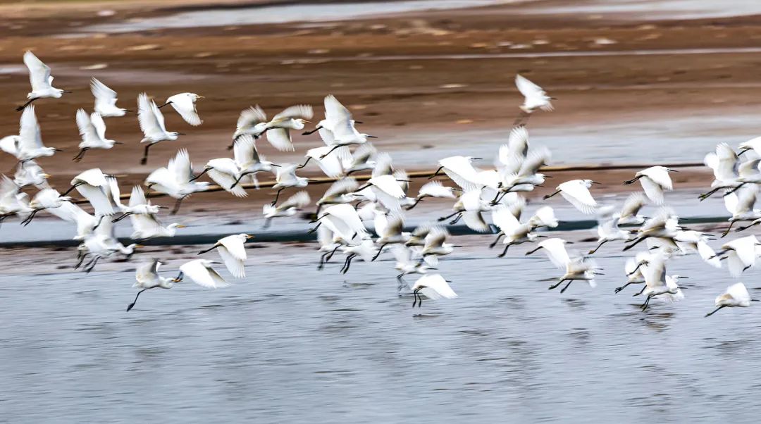 唐盛利:寻找天空的翅膀_澎湃号·政务_澎湃新闻-the paper