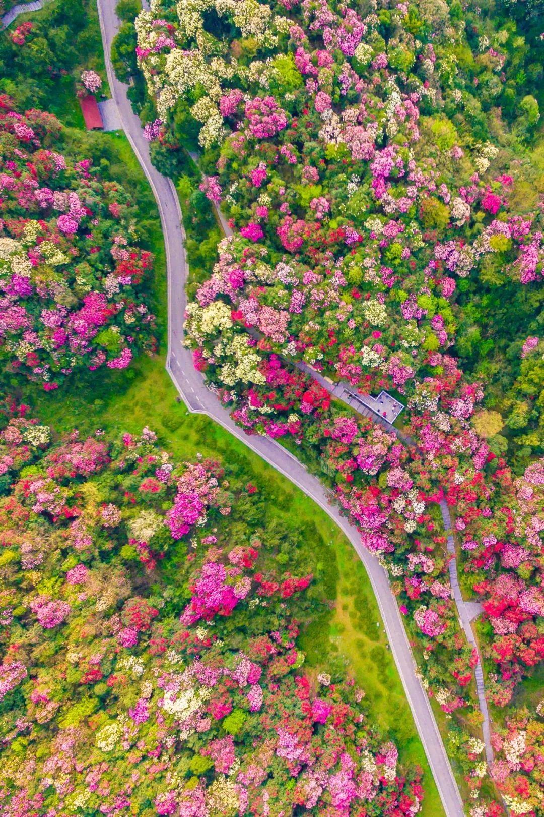 中国南方隐藏最深的兄弟省份,你根本想不到_澎湃号