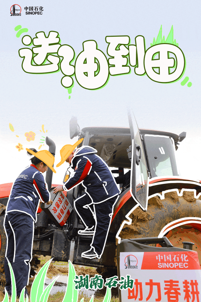 一号文件明确预期!_澎湃号·政务_澎湃新闻-the paper