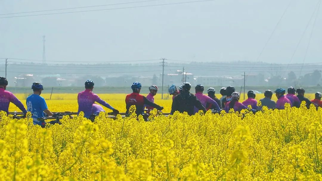 安义周末天气……_澎湃号·政务_澎湃新闻-the paper