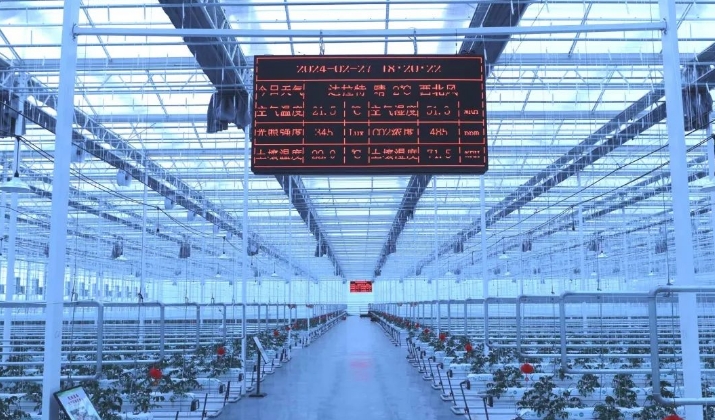 进入文洛式玻璃智能温室,悬挂在正中央的led大屏显示器实时显示着室内