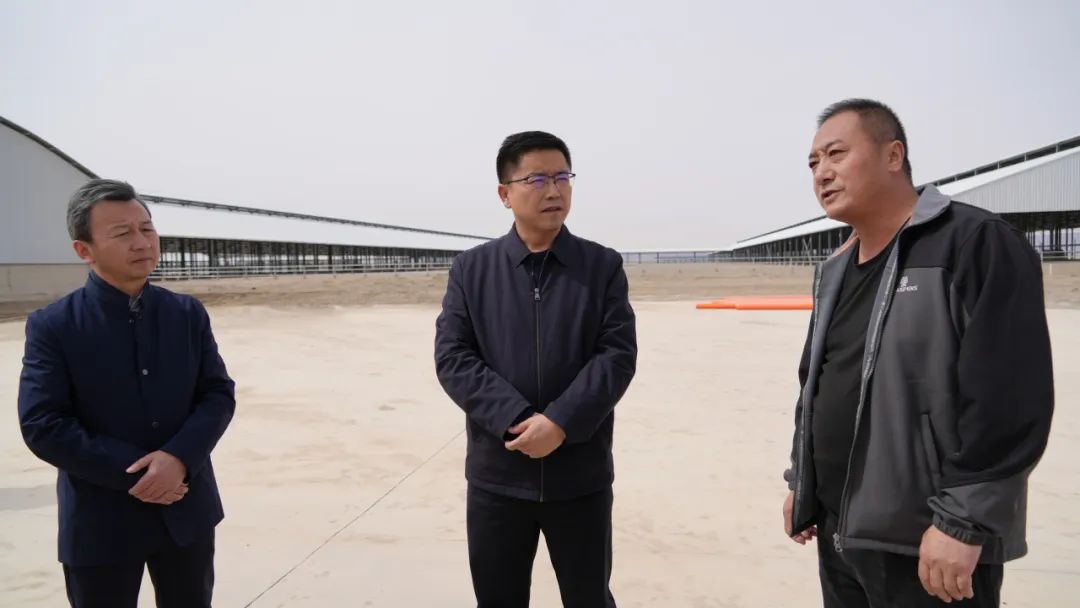 肃南:钟向辉在明花乡调研督导现代农业科技示范园项目和文旅产业基础