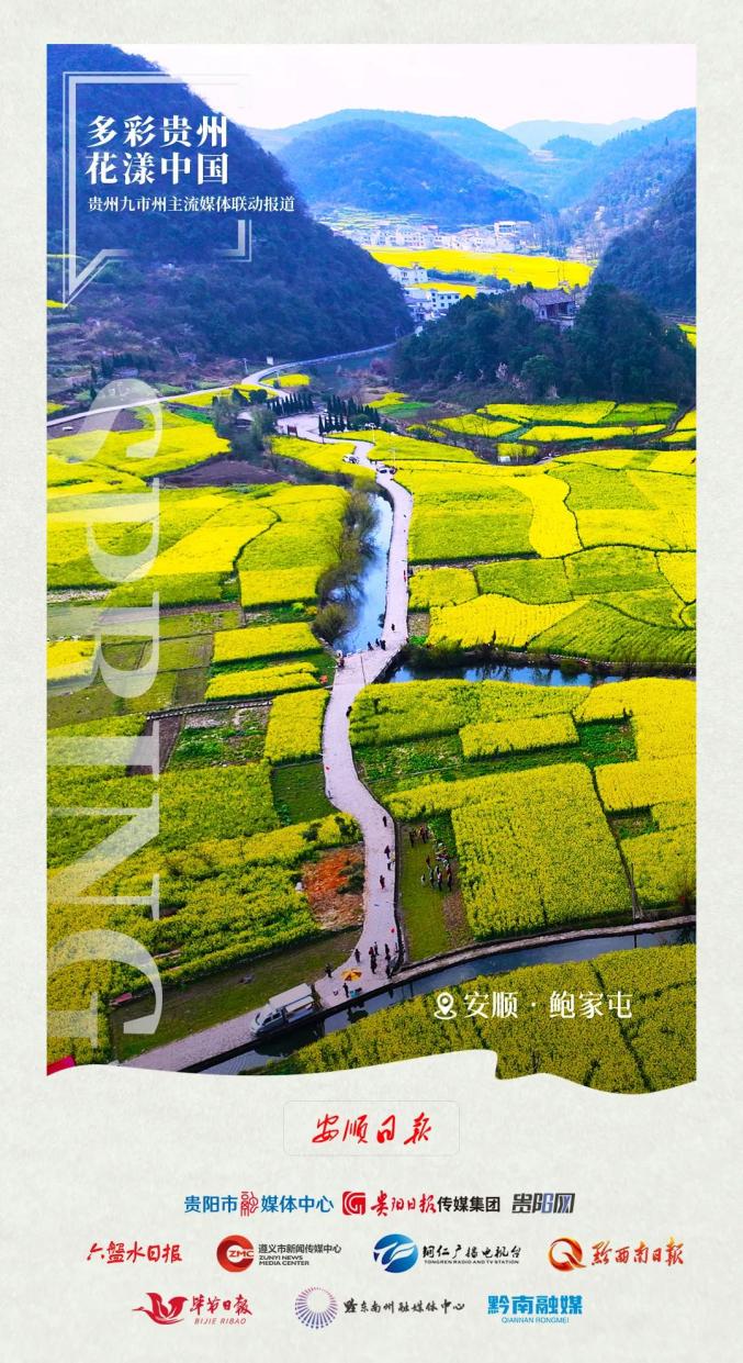 "多彩贵州·花漾中国" 市州联动报道丨安顺:"花样经