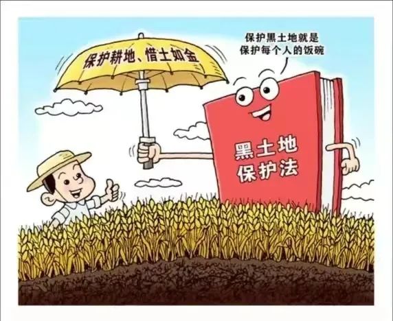 【微普法】黑土地保护进行时,用法律守护"耕地中的大熊猫"