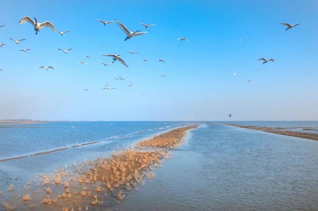 古丹阳湖分化出来的石臼湖虽不如古时湖水势之盛大水气接天,风波浩荡