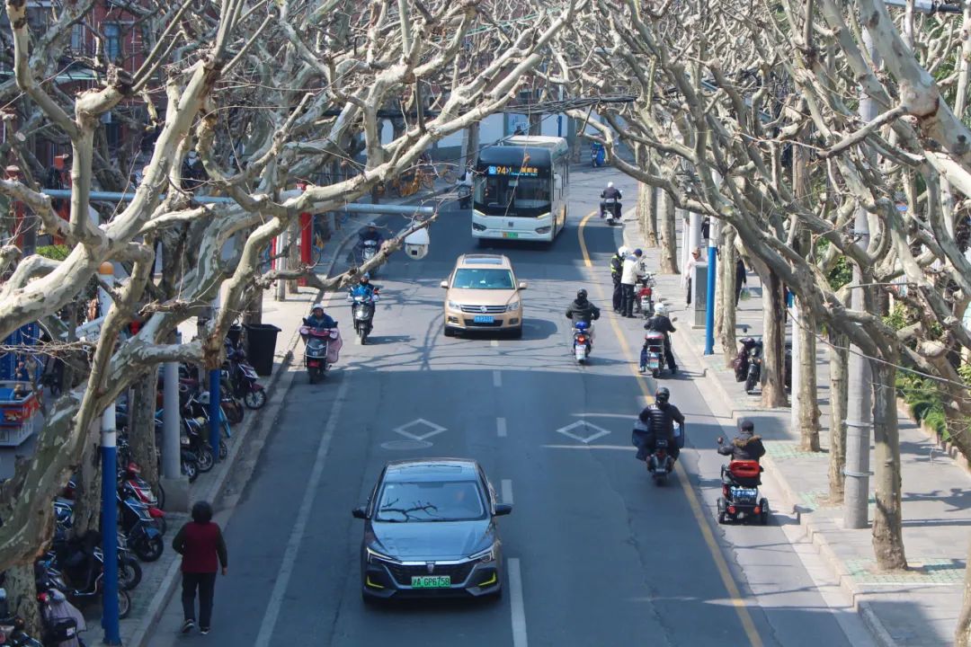 在曹杨漫步,拍下了100张舍不得删的照片……_澎湃号·政务_澎湃新闻