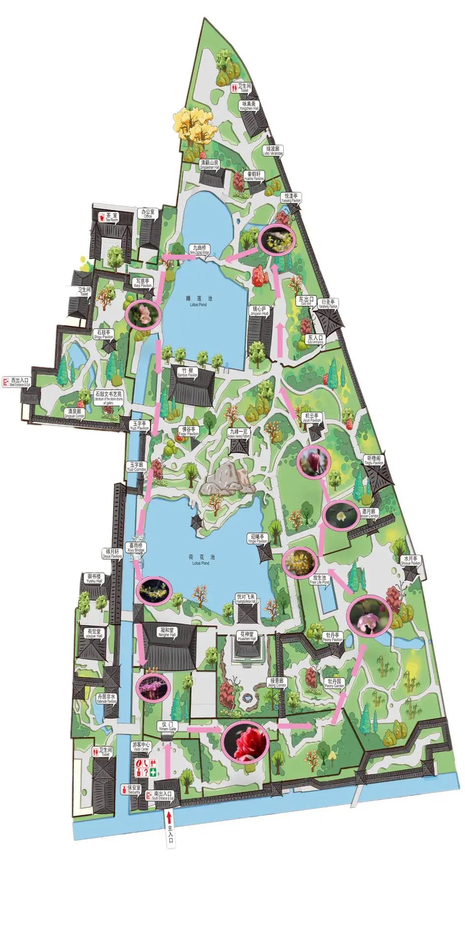 春日的曲水园,约吗?_澎湃号·政务_澎湃新闻-the paper