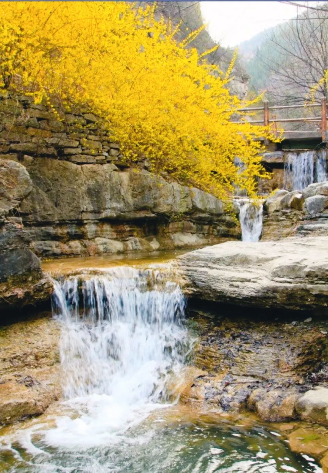 被称"东方花都"!