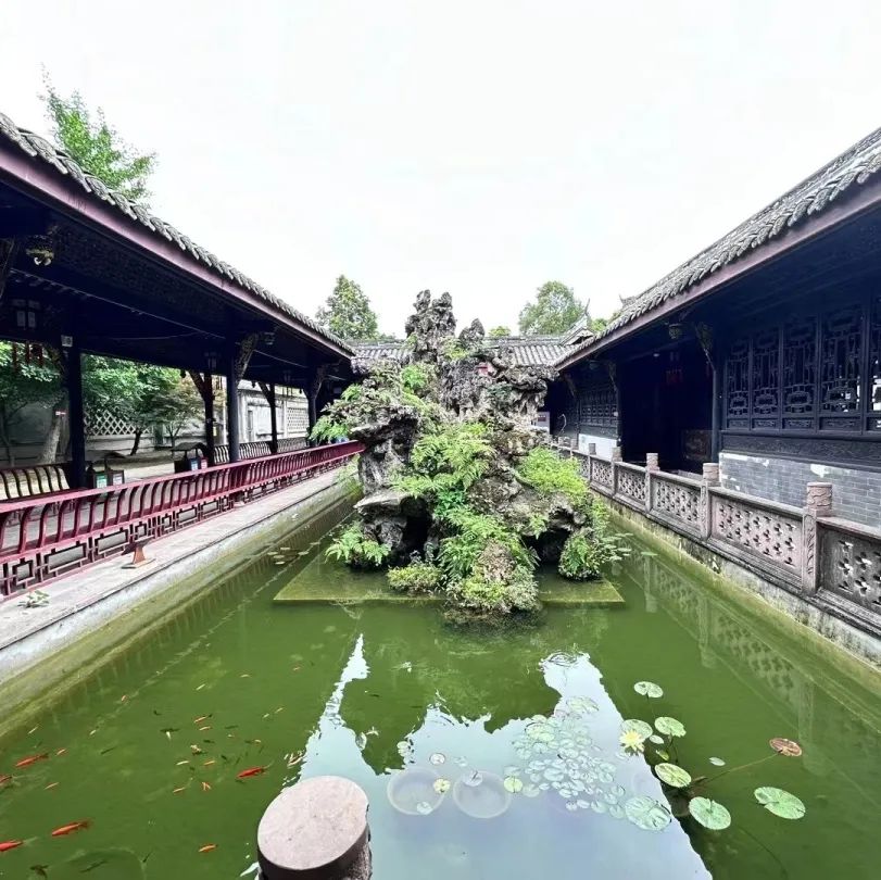 陈家桅杆拾级而上,在看台上便能看到,绿色的麦田画布上,一幅"太阳神鸟