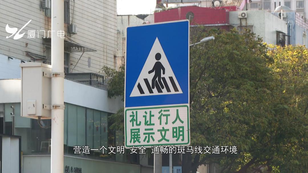 这事厦门现场开罚!_澎湃号·政务_澎湃新闻-the paper