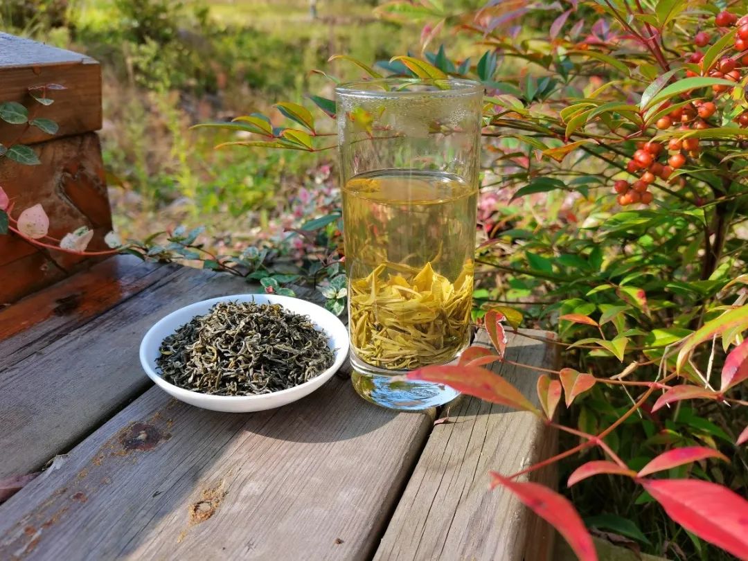 周末去哪嗨探寻最美乡村12条线路带你解锁宜昌春日限定旅行