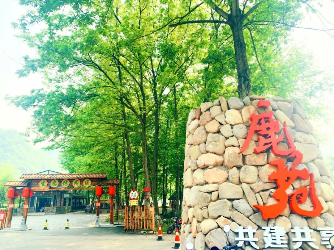 来到自古盛产贡茶"鹿苑黄茶"的田园村落,五感体验黄茶园,天然水体公园