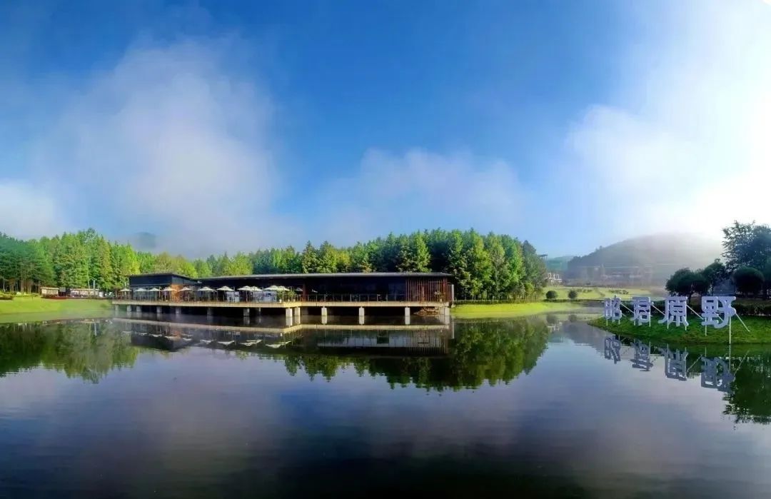 周末去哪嗨探寻最美乡村12条线路带你解锁宜昌春日限定旅行