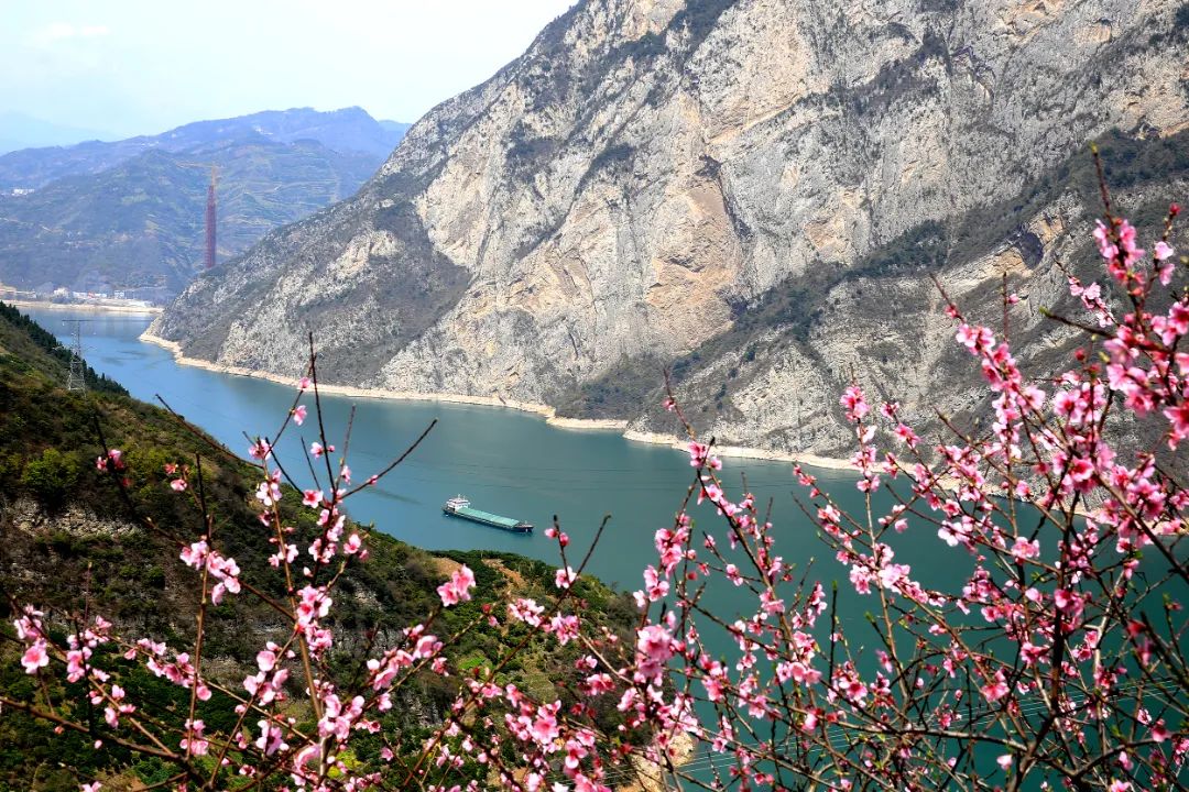 西陵峡村※周边景区:屈原故里文化旅游区,三峡竹海生态风景区※特色