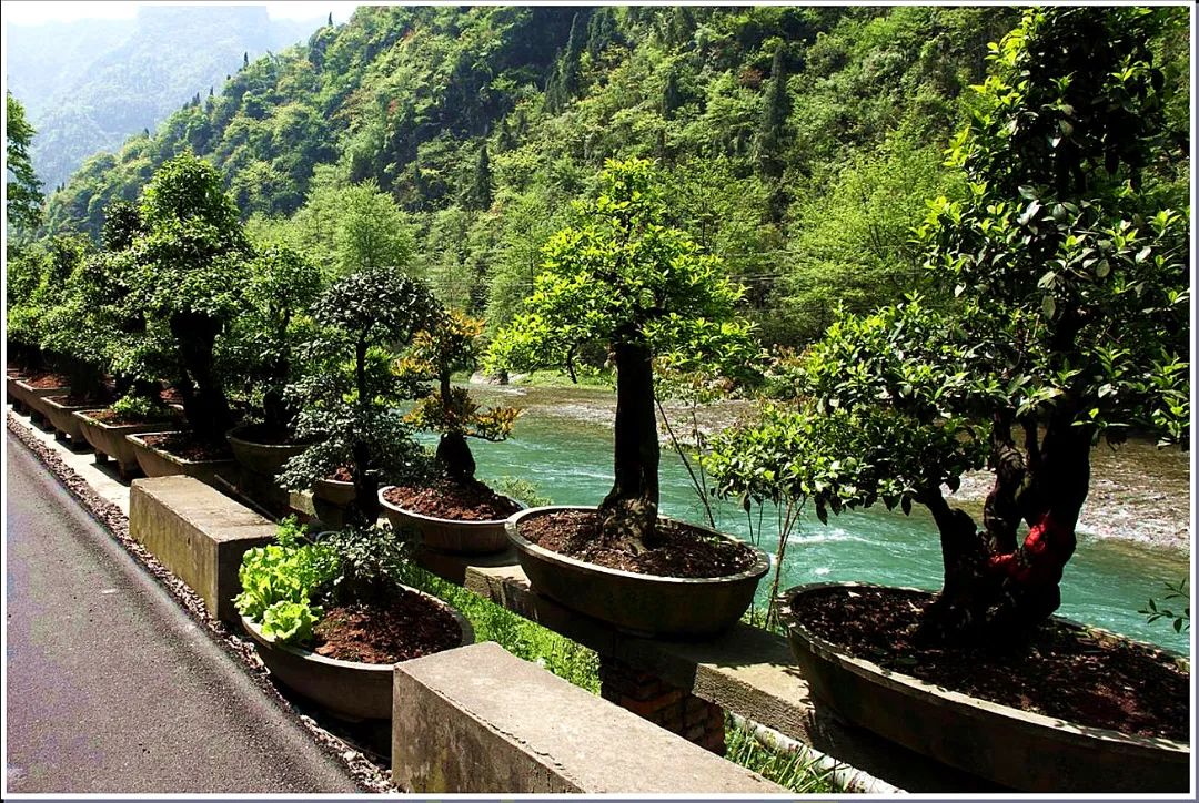 游览点:云栖谷>榛子乡(榛子岭昭君原野)>至界牌垭>昭君村>南阳温泉