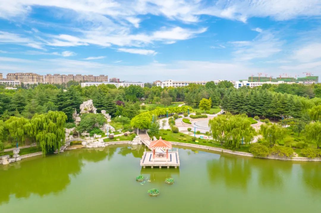 2024研究生录取线_青岛农业大学2024年硕士研究生招生章程_青岛农业大学2024年硕士研究生复试录取方案