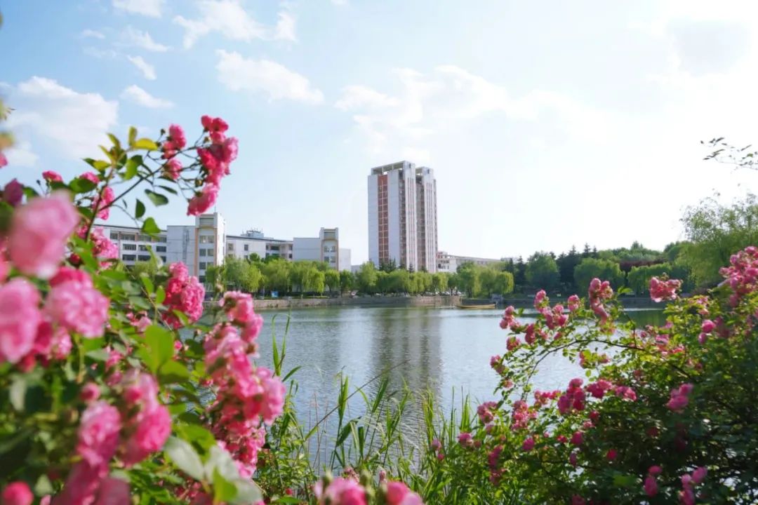 青岛农业大学2024年硕士研究生复试录取工作方案