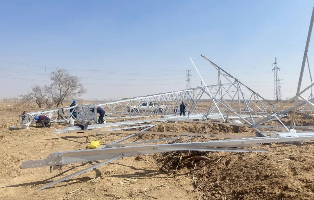 学先进对标杆促提升长岭镇破题起势稳扎稳打开辟高