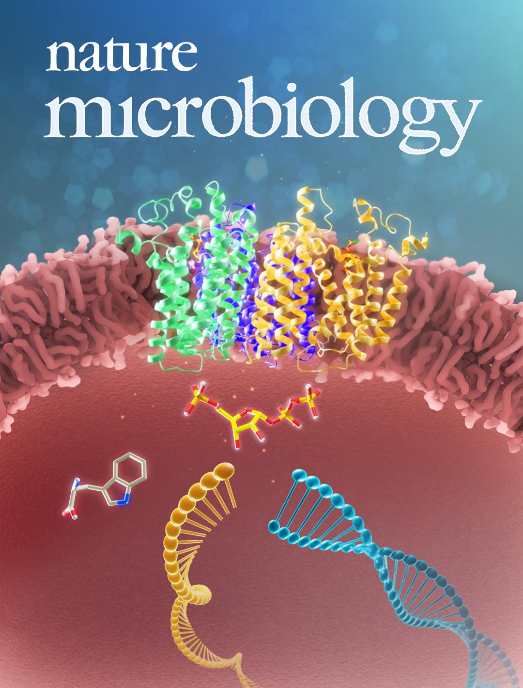 对抗耐药结核病南开团队找到新武器