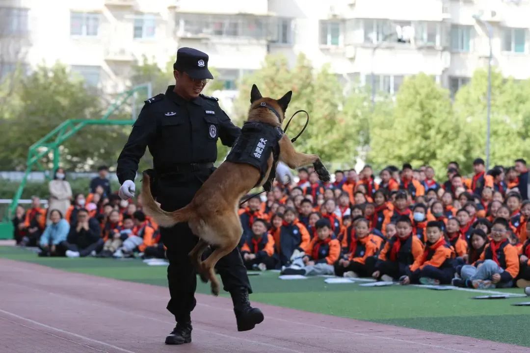 合肥"平安校园行活动"走进蜀山校园_澎湃号·政务_澎湃新闻-the paper