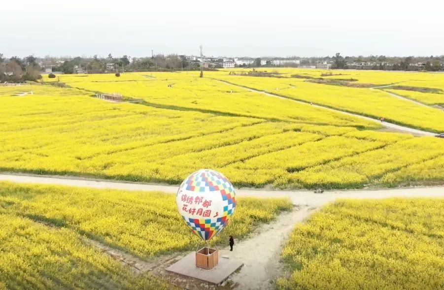 友爱镇农科村图片