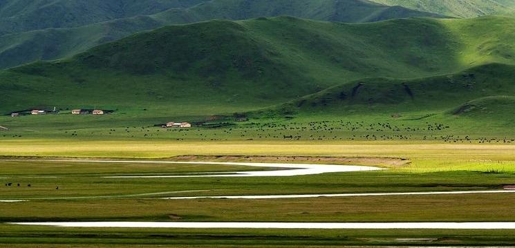 月底通车,成都直达红原大草原!_澎湃号·湃客_澎湃新闻-the paper