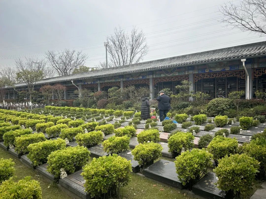 今年,松鹤墓园祭扫无需预约,2号门及中心广场分设2个点提供免费轮椅