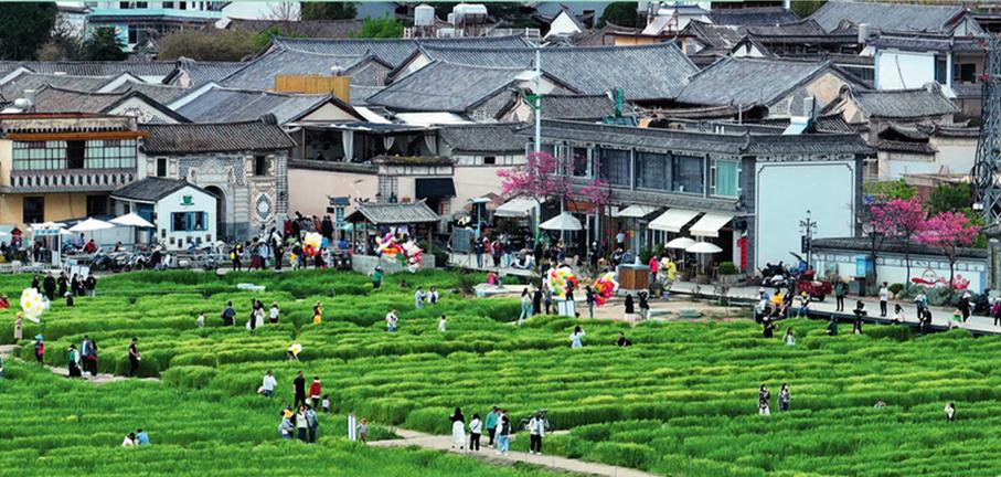 碧绿或金黄的波浪目之所及,皆是浪漫喜洲古镇 云南省发展和改革委员会
