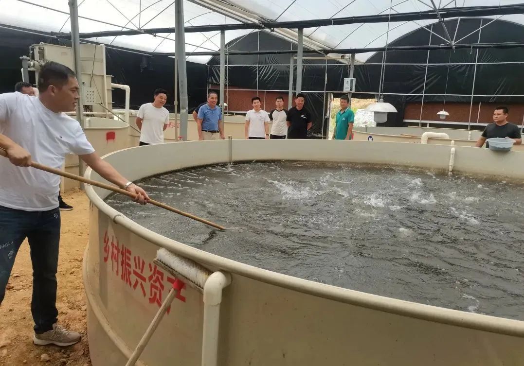 河坪及简家工厂化养鱼2个项目在培育鱼苗和提供技术指导上日臻成熟.