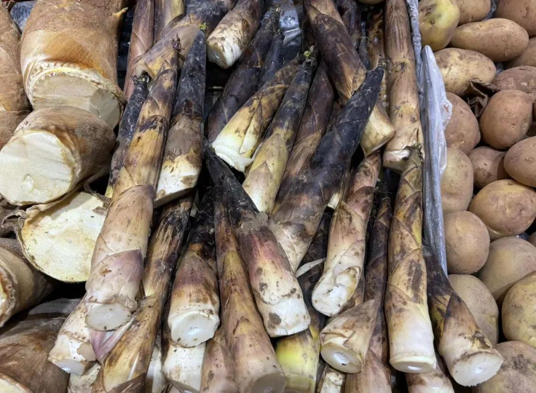 春笋易变"春损"!这些人需注意