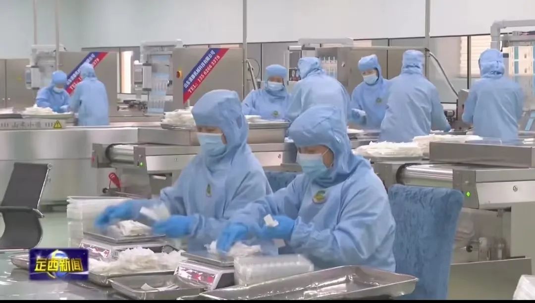 67定西宽粉订单暴增生产企业加班加点生产保供应