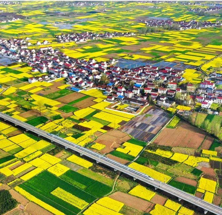 绿色发展示范案例丨生态文明建设示范区——陕西省汉中市城固县_澎湃