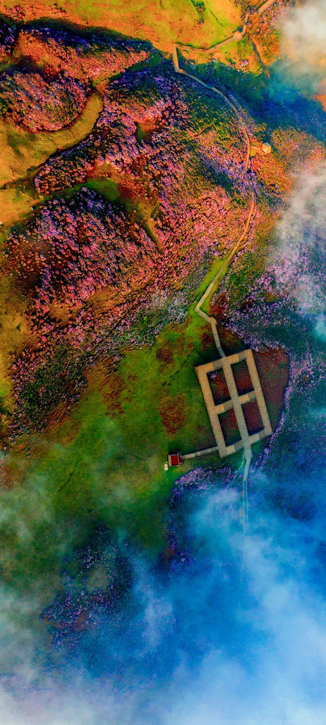 超6亿中国人免费这个春天贵州请你到黄小西吃晚饭