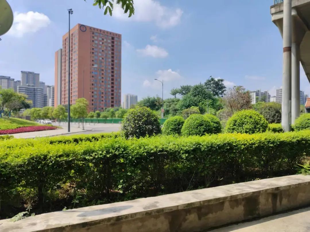 好巴适温江又一开放式微公园上新