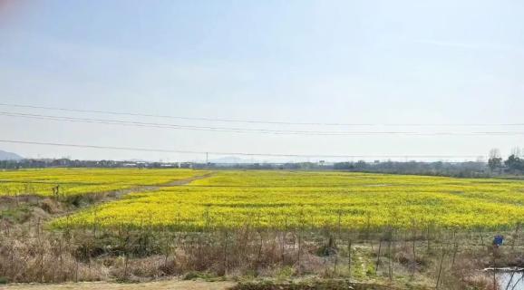 或点击下方卡片可直接导航景区西门地图搜索"安徽省蔬语生态农业有限