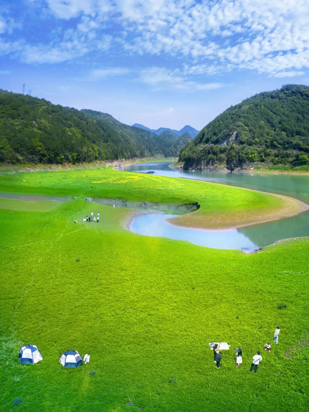 春游丽水龙泉赏花地图上线