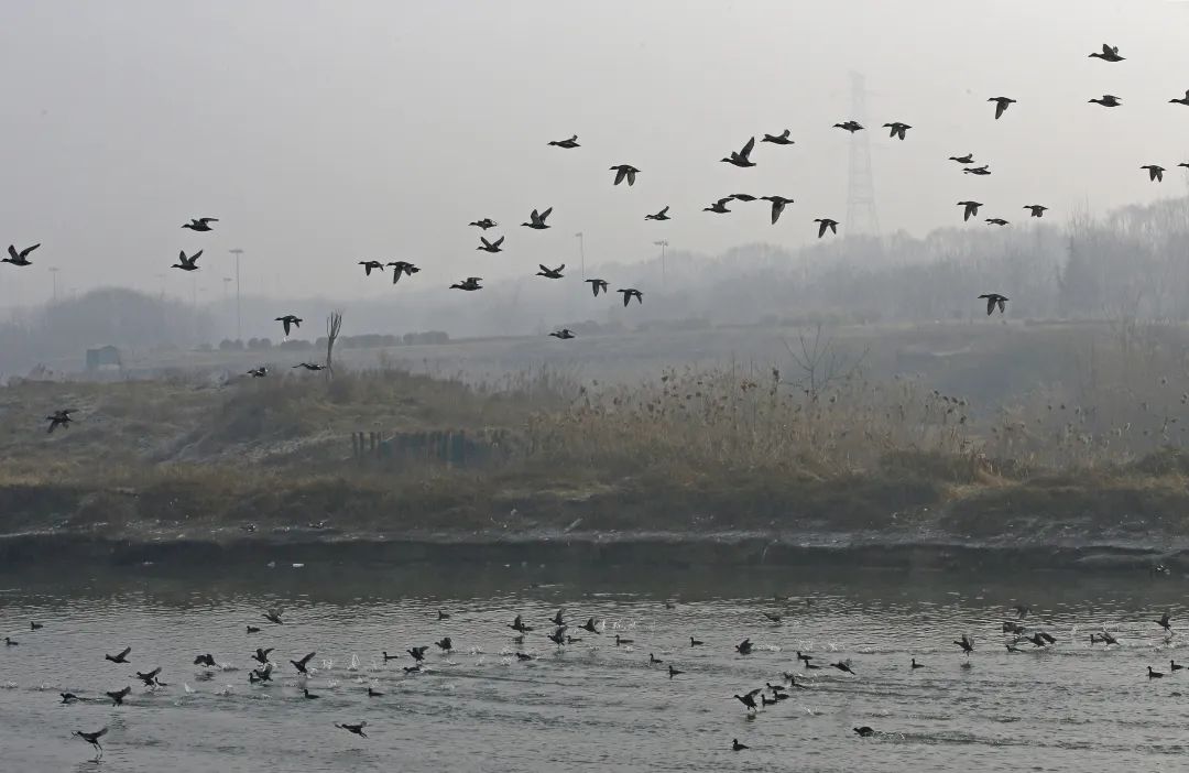 2022年6月3日 ,西安鄠邑,太平河道里的游人.