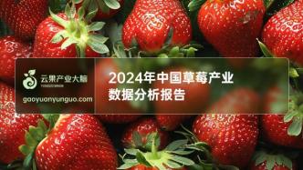 2024年中国草莓产业数据分析简报