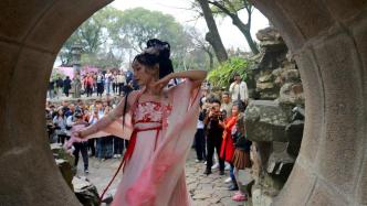 苏州：传统文化与浪漫新潮碰撞，游客共赴一场春日百花盛宴