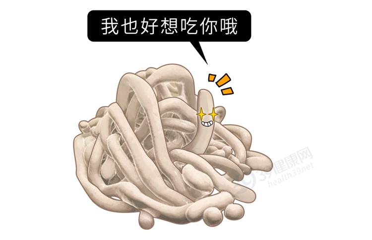 这4种蔬果,再喜欢也要少碰_澎湃号·湃客_澎湃新闻-the paper